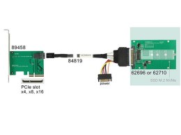 Delock Adapter U.2 sff-8639 -> M.2 NGFF