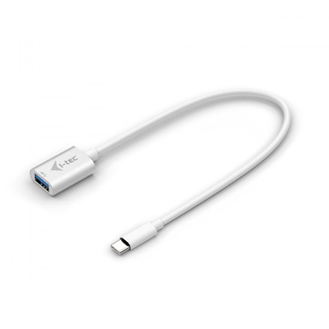 I-tec USB 3.1 Typ-C 3.1/3.0/2.0 Typ-A