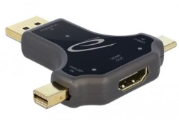 Delock Adapter 3w1 USB cm/Displayport(M)/Displayport MINI (M)->HDMI(F)