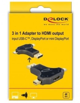 Delock Adapter 3w1 USB cm/Displayport(M)/Displayport MINI (M)->HDMI(F)