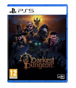 Plaion Gra PlayStation 5 Darkest Dungeon 2