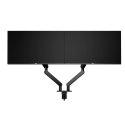 AM420 DUAL MONITOR ARM - BLACK/