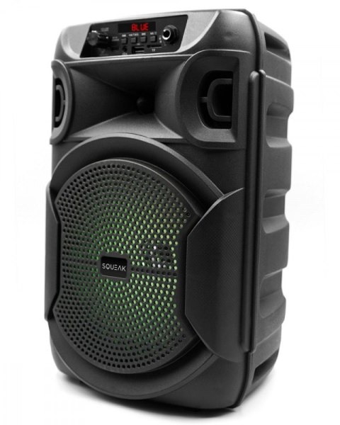 SQUEAK Głośnik Bluetooth 5.3 EDR PulseTower 1000W Funkcja Karaoke SQ1006