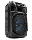 SQUEAK Głośnik Bluetooth 5.3 EDR PulseTower 1000W Funkcja Karaoke SQ1006