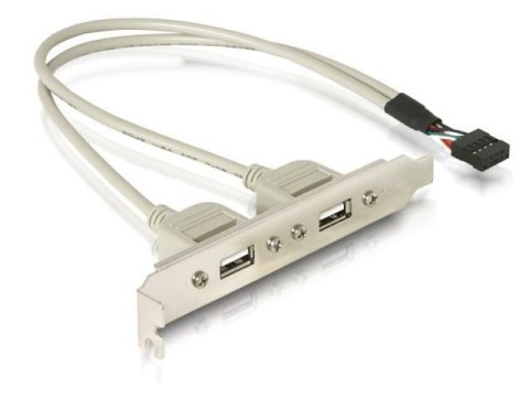 Delock Gniazdo 2xUSB 2.0 na śledziu