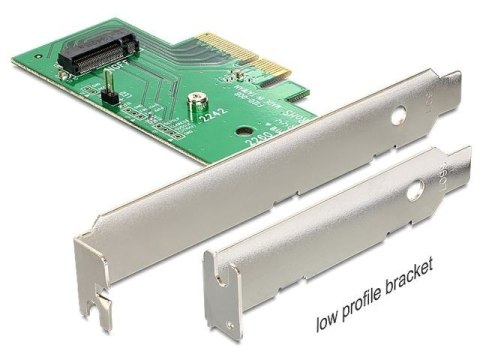 Delock Karta PCI Express - M.2 Key M Internal