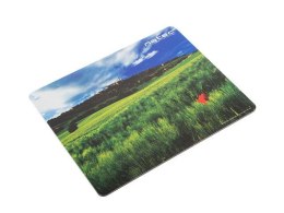 NATEC Podkładka pod mysz Foto Włochy 220x180mm 10-Pack