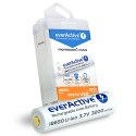 EVERACTIVE AKUMULATOR 18650 3,7V LI-ION 3200MAH MICRO USB Z ZABEZPIECZENIEM FWEV1865032MBOX