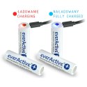 EVERACTIVE AKUMULATOR 18650 3,7V LI-ION 3200MAH MICRO USB Z ZABEZPIECZENIEM FWEV1865032MBOX