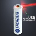 EVERACTIVE AKUMULATOR 18650 3,7V LI-ION 3200MAH MICRO USB Z ZABEZPIECZENIEM FWEV1865032MBOX