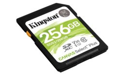 Kingston Karta pamięci SD 256GB Canvas Select Plus R100MB/s