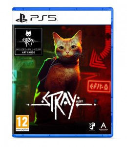 KOCH Gra PS5 Stray