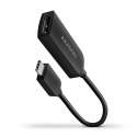 AXAGON Konwerter/adapter USB-C na DisplayPort, RVC-DP, 4K/60Hz