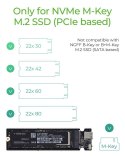 IcyBox Obudowa IB-1817M-C31 M.2 NVMe SSD