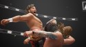 Plaion Gra Nintendo Switch AEW: Fight Forever