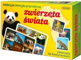 Adamigo Gra Zwierzęta Świata