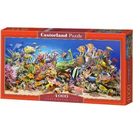 Castor Puzzle 4000 elementów Podwodne Życie