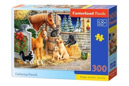 Castor Puzzle 300 elementów, Przyjaciele