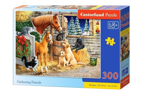 Castor Puzzle 300 elementów, Przyjaciele