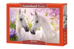 Castor Puzzle 1000 elementów - Romantyczne konie