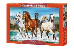 Castor Puzzle 2000 elementów - Zew natury