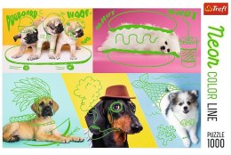 Trefl Puzzle 1000 elementów Neon Color Line - Odlotowe psy