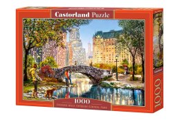 Castor Puzzle 1000 elementów Central Park