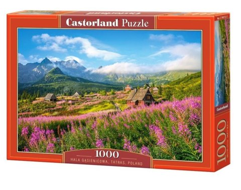 Castor Puzzle 1000 elementów - Hala Gąsienicowa, Tarty, Polska