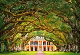 Castor Puzzle 1000 elementów - Oak Alley Plantation