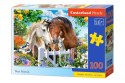 Castor Puzzle 100 elelemntów Najlepszy przyjaciel konie