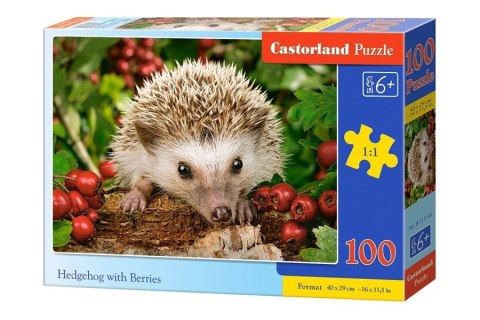 Castor Puzzle 100 elementów Jeż