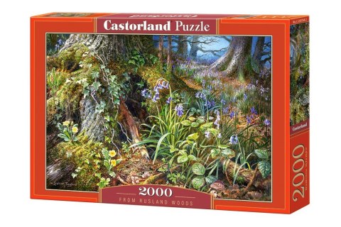 Castor Puzzle 2000 elementów Las