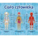 Trefl Gra Ciało Człowieka Mistrz Wiedzy