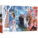 Trefl Puzzle 160 elementów Chce uwierzyć snom Frozen 2