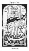 Cartamundi Karty Hermetic Tarot