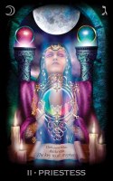 Cartamundi Karty Tarot of Dreams