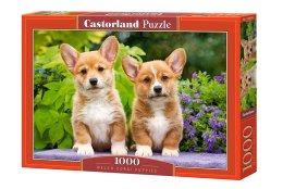 Castor Puzzle 1000 elementów Szczeniaki Corgi psy