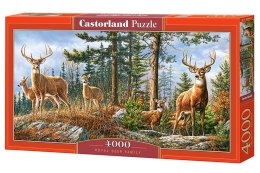 Castor Puzzle 4000 elementów - Królewska rodzina jeleni