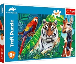 Trefl Puzzle 300 elementów Niesamowite zwierzęta Animal Planet