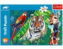 Trefl Puzzle 300 elementów Niesamowite zwierzęta Animal Planet