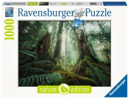 Ravensburger Polska Puzzle 1000 elementów Lasy