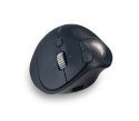 Kensington Trackball ProFit Ergo TB550