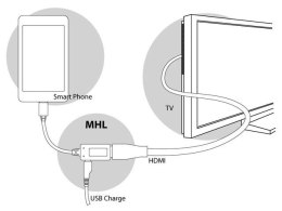 Delock Adapter MHL(M)->HDMI(F)+USB Micro(BF)