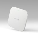 Access Point Linksys LAPAX3600C