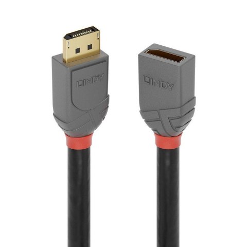 Przedłużacz DisplayPort 1.4 LINDY Anthra Line 0,5m czarny