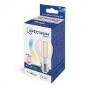 SPECTRUM SMART *ZAROWKA SMART TUYA WIFI GLS 5W COG CLEAR CCT+DIM