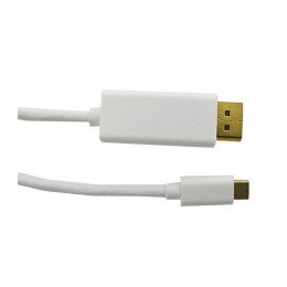 Qoltec Kabel DisplayPort Alternate mode | USB 3.1 typC męski / DisplayPort męski | 4Kx2K | 1m