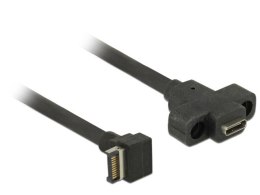 Delock Kabel USB Key A - CF 3.1 0.45m Panel Mount