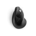 PRO FIT ERGO MOUSE/VERTICAL CORDLESS BLACK