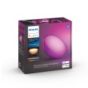 Przenośna lampa Philips Hue Go 2 RGBW BT 6W